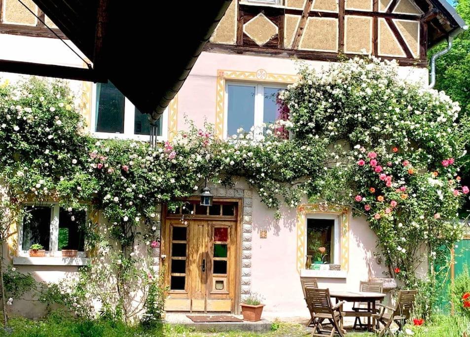 Apartament Kleine Kunstremise Mit Holzofen Burg Freienfels Weinbach Zewnętrze zdjęcie